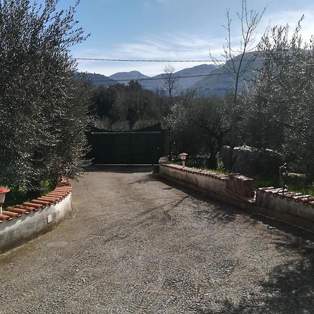 Casa Fra Gli Ulivi Di Giuseppe Pensionat Sonnino Exteriör bild