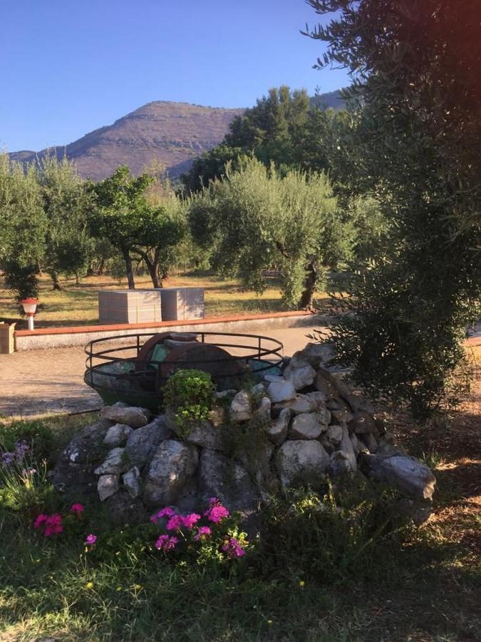 Casa Fra Gli Ulivi Di Giuseppe Pensionat Sonnino Exteriör bild