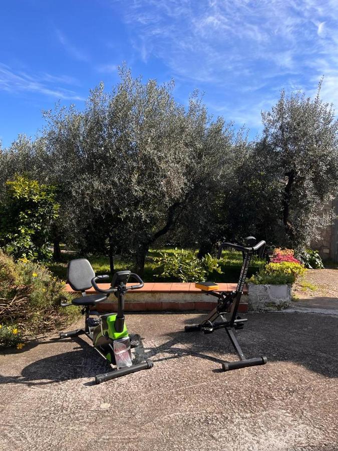 Casa Fra Gli Ulivi Di Giuseppe Pensionat Sonnino Exteriör bild