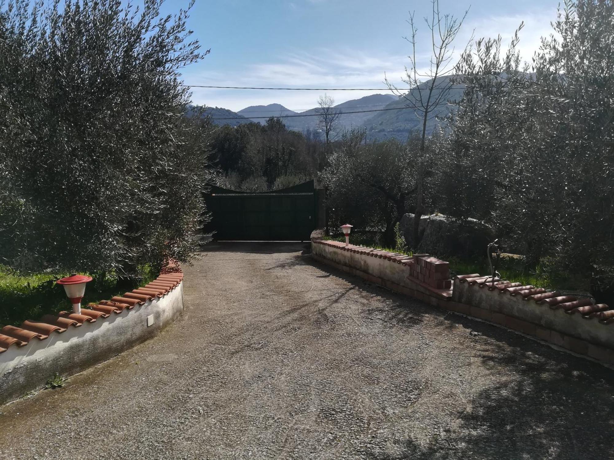 Casa Fra Gli Ulivi Di Giuseppe Pensionat Sonnino Exteriör bild