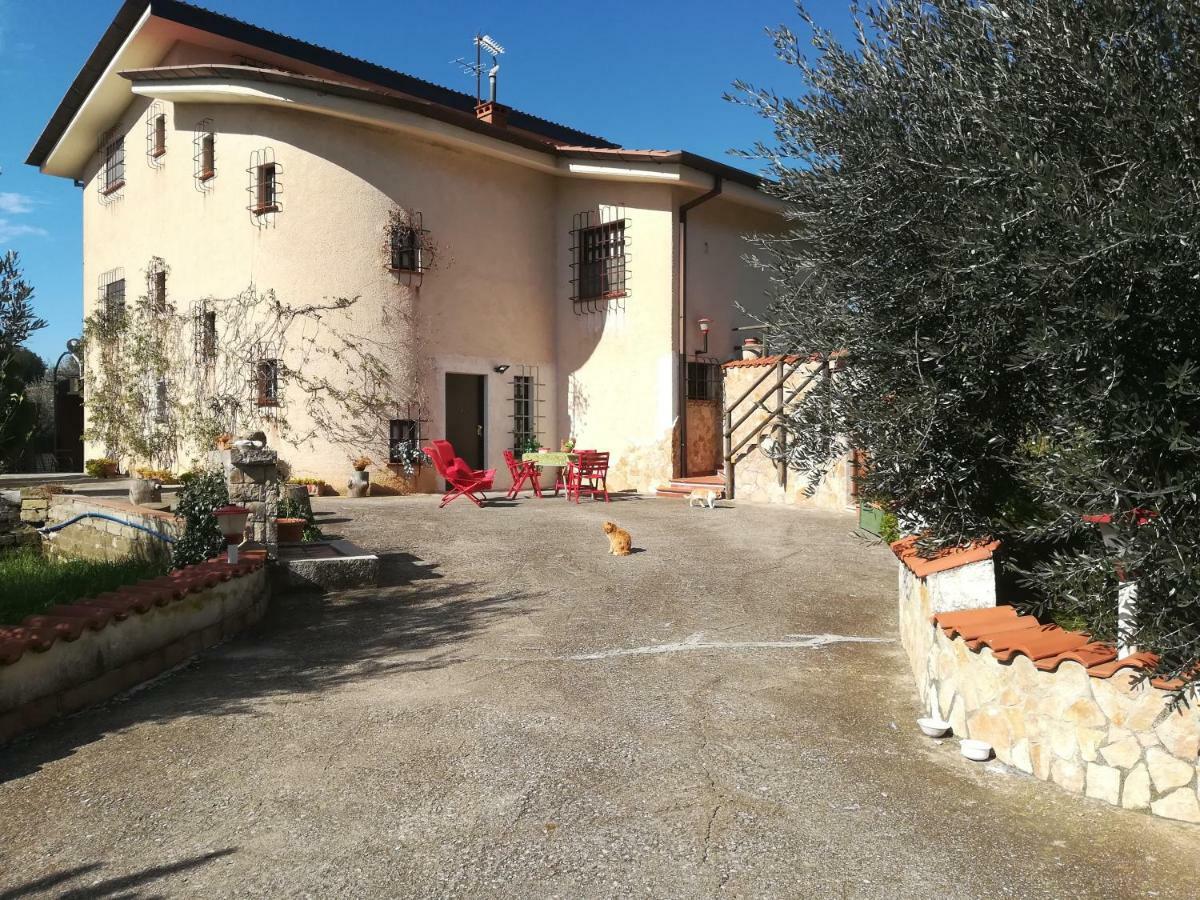 Casa Fra Gli Ulivi Di Giuseppe Pensionat Sonnino Exteriör bild