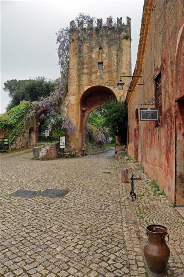 Casa Fra Gli Ulivi Di Giuseppe Pensionat Sonnino Exteriör bild